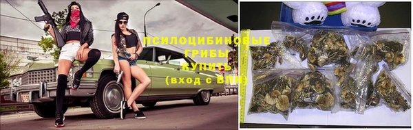 спиды Алексин