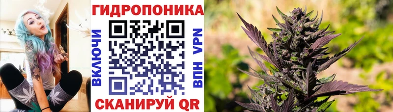 Бошки Шишки гибрид  купить  цена  Чусовой 